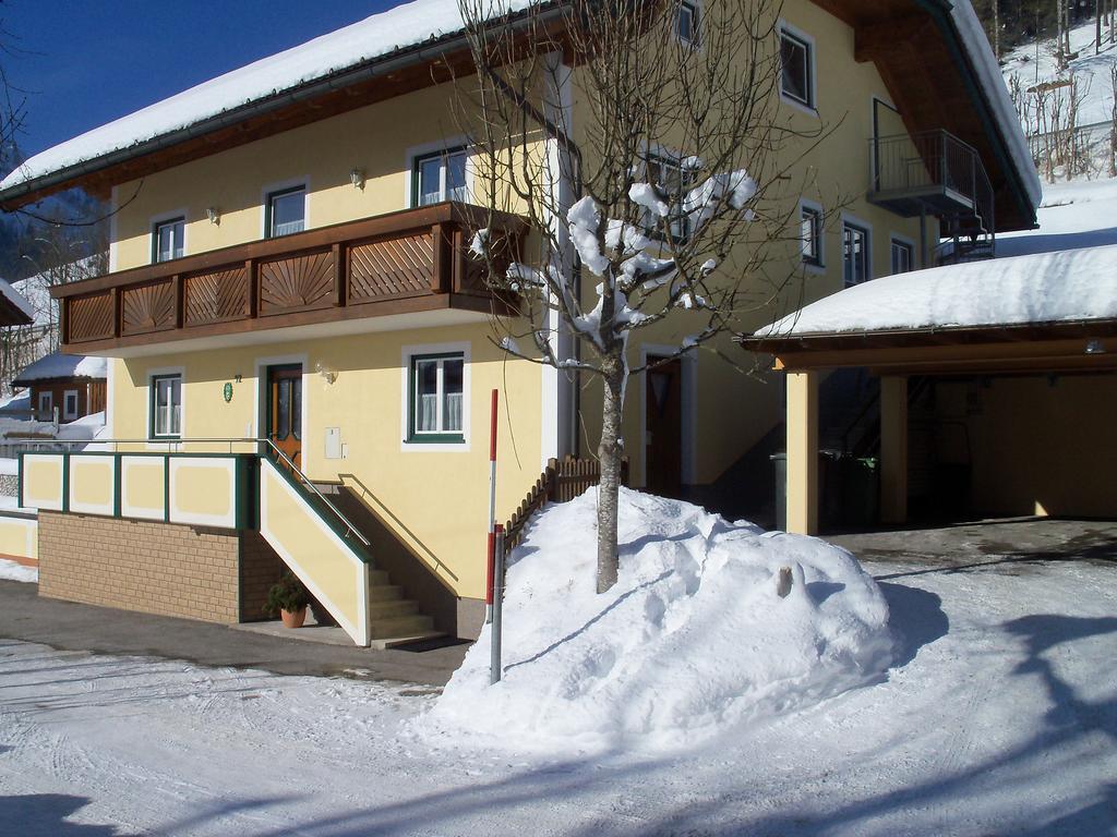 Haus Mary Apartman Russbach am Pass Gschütt Kültér fotó
